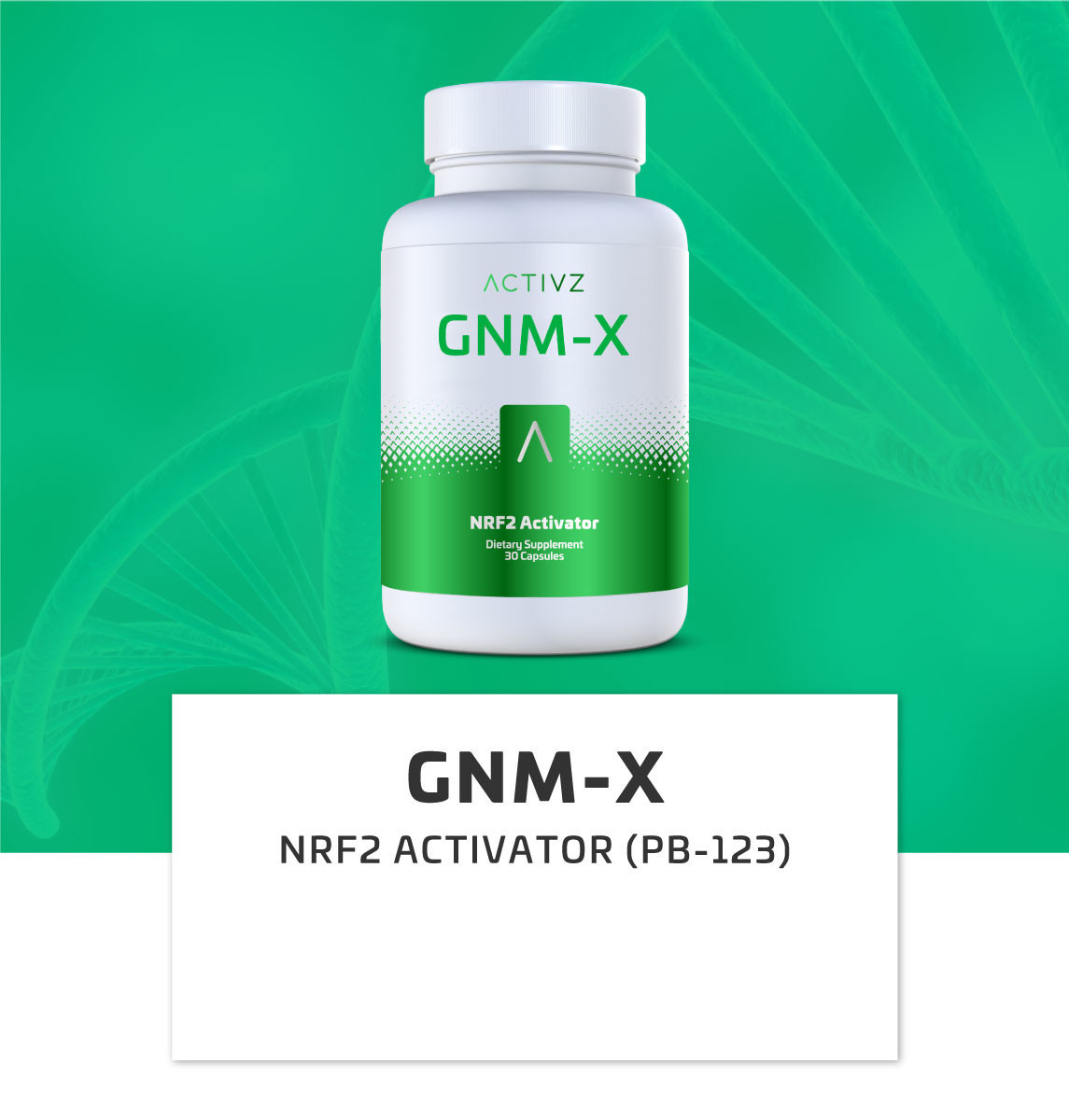 gnmx